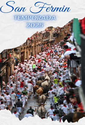 Toros San Fermín 2025